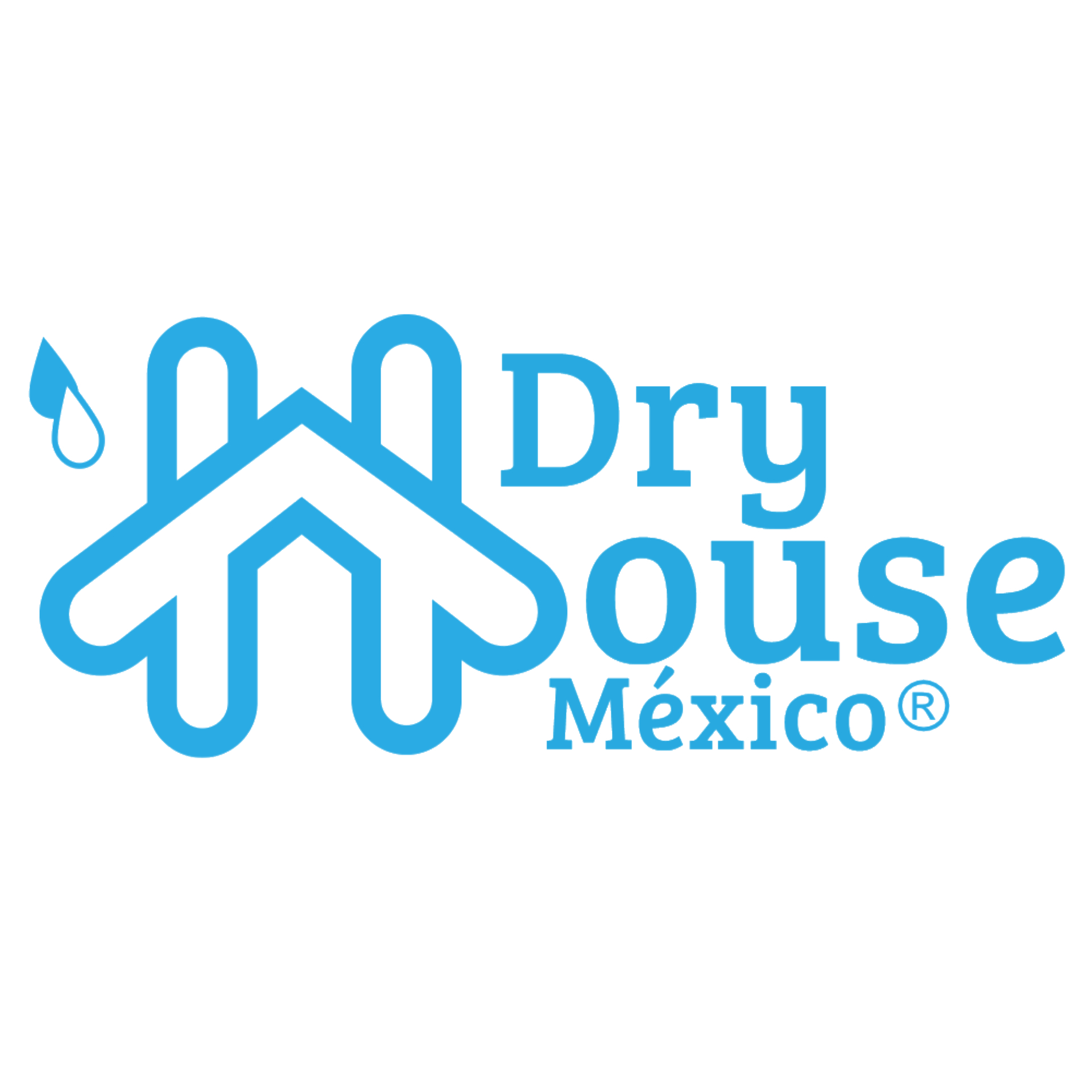 Logo Dry House