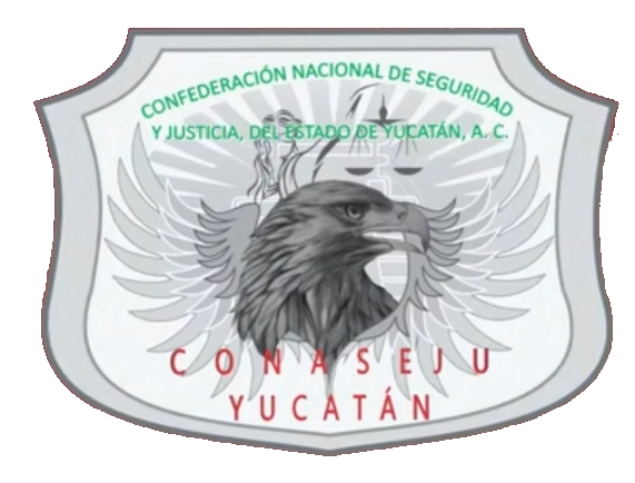 CONASEJU Logo